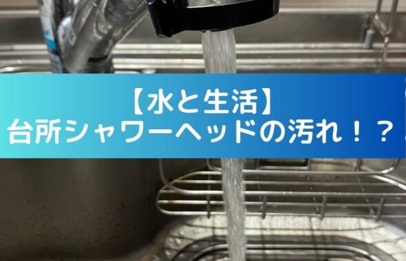 【水と生活」台所シャワーヘッドの汚れ。掃除をすると劇的に変わる！