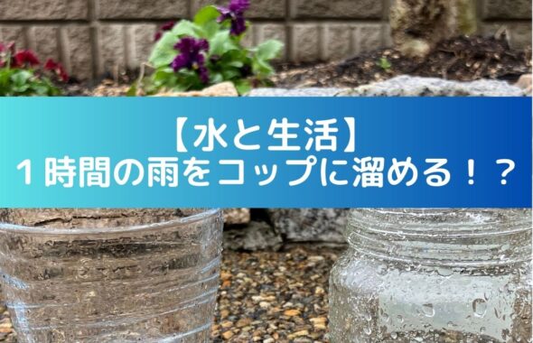 水と生活。１時間の雨水をコップに溜めてみる。そして試して分かる発見。