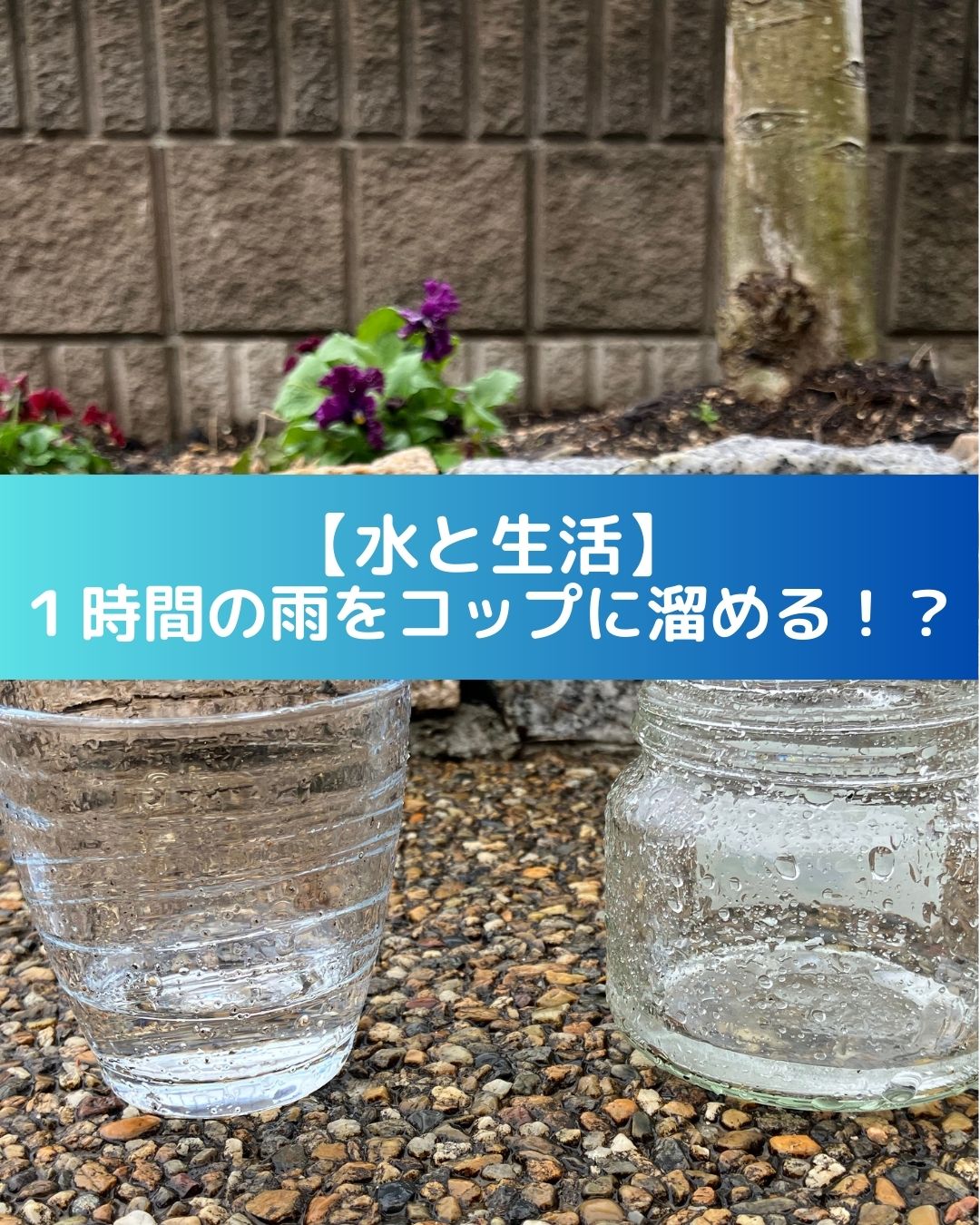 水と生活。１時間の雨水をコップに溜めてみる。そして試して分かる発見。