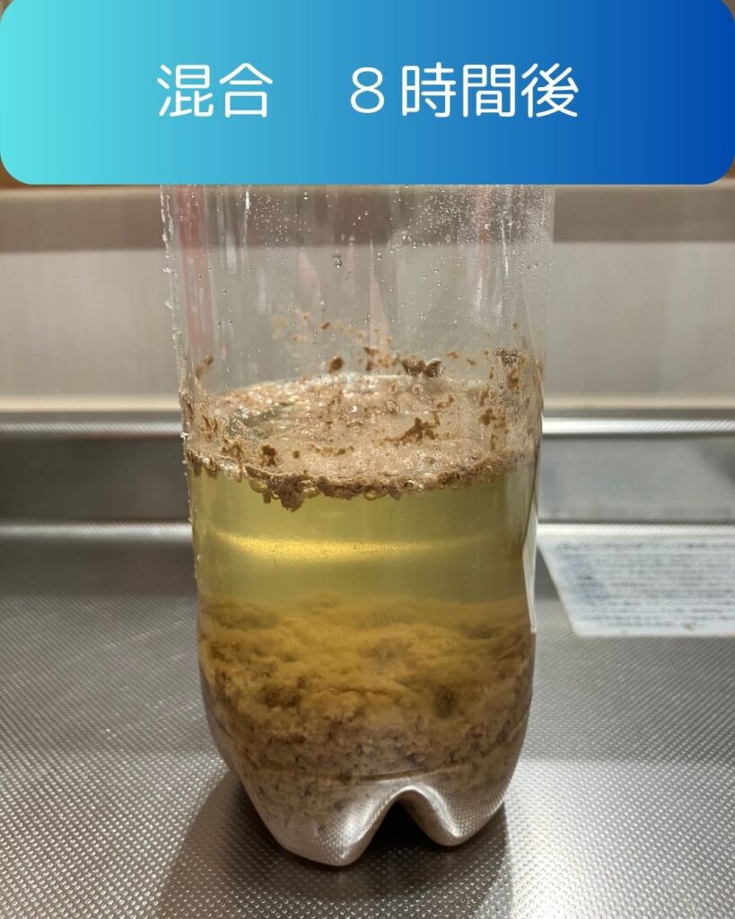 コーラに牛乳を混ぜると透明になる？混合８時間後