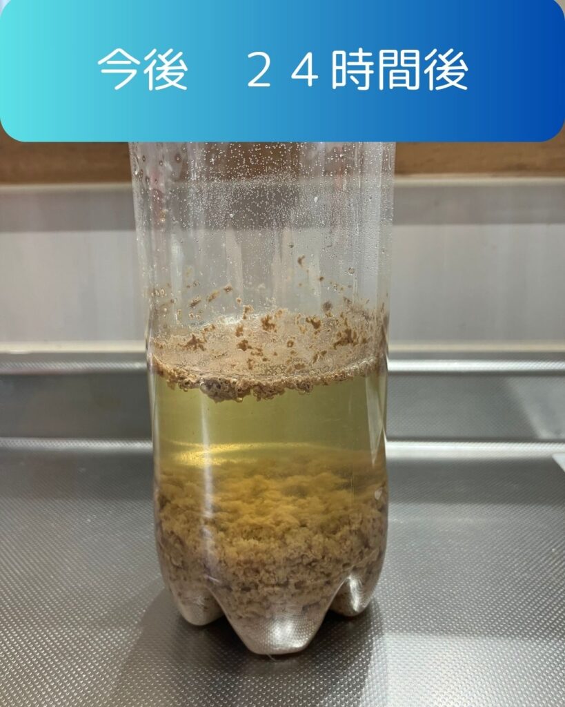 コーラに牛乳を混ぜると透明になる？混合２４時間後