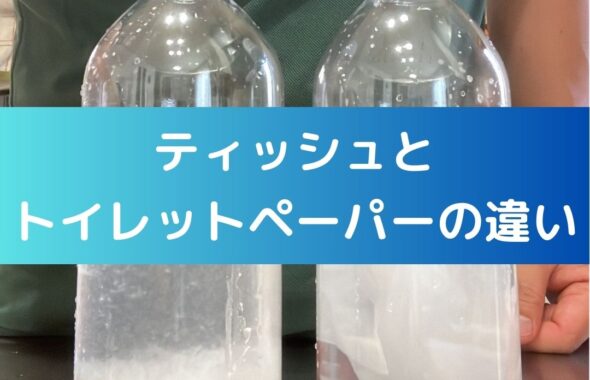 ティッシュとトイレットペーパーの違い。水の実験。夏休みの自由研究向き
