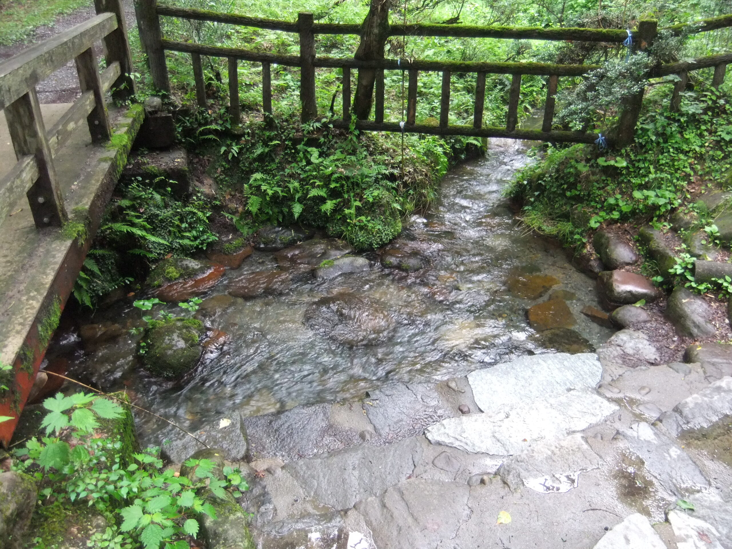 水と生活。子供向け出前授業や大人向け講演のお知らせ。岡山県を中心に出張します。