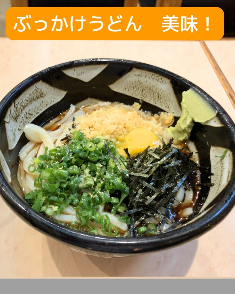 全国学童保育研究集会in岡山。会場の倉敷市民会館。ふるいちのぶっかけうどん。商店街