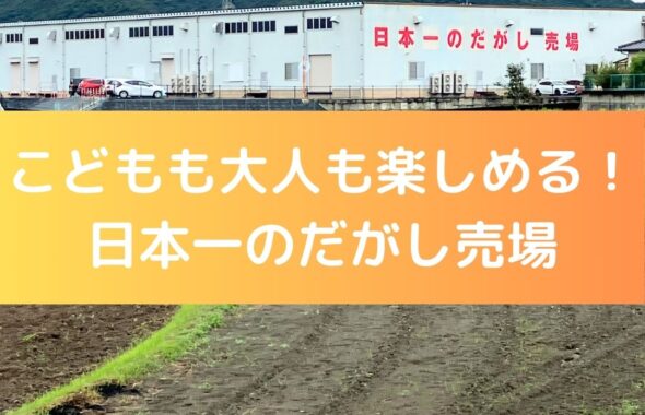 こども大人も楽しめる！日本一のだがし売場。岡山県瀬戸内市長船町。