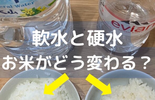 軟水と硬水でお米がどう変わる。検証。味の違いや見た目の違い。おいしさ