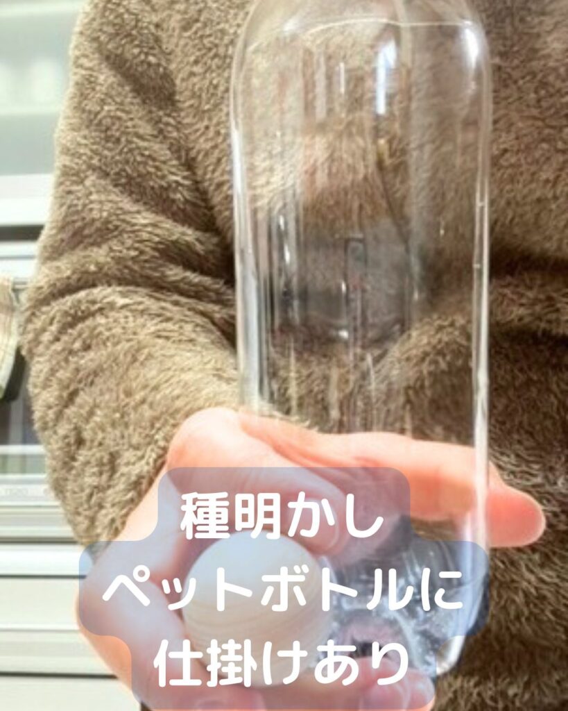 【簡単マジック】ペットボトルにボールを入れる驚きの仕掛け！小学生の子どもでも工作できる。準備物。 学童保育（放課後児童クラブ）子供会・PTA・公民館講座