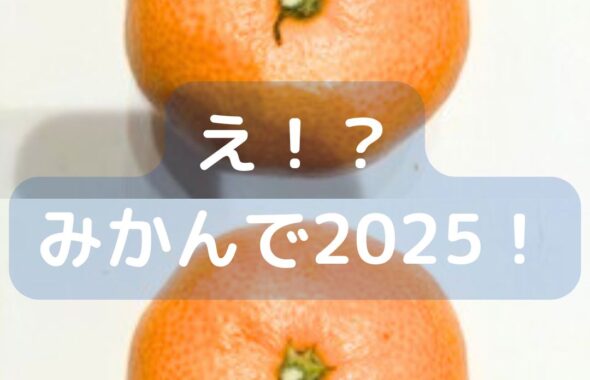 みかんの皮で2025を描く。小学生でもできる工作。