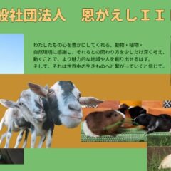 恩がえしIILAの写真。学童保育向け出前授業派遣サービス。缶バッチ。