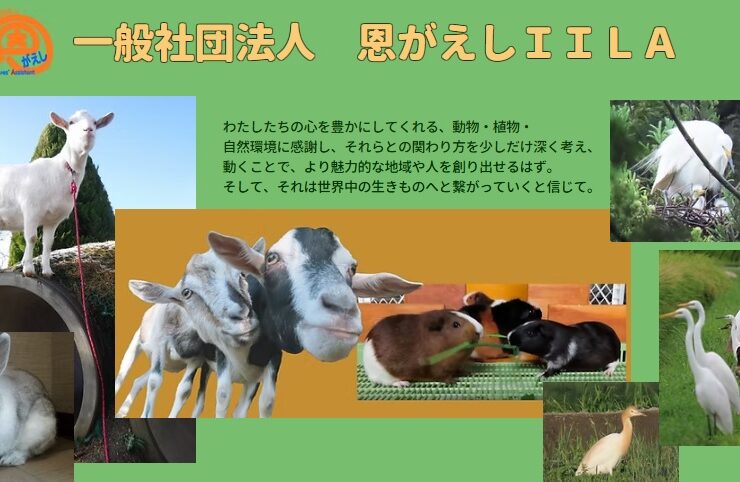 恩がえしIILAの写真。学童保育向け出前授業派遣サービス。缶バッチ。