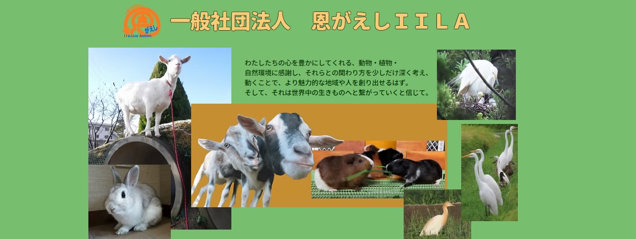 恩がえしIILAの写真。学童保育向け出前授業派遣サービス。缶バッチ。