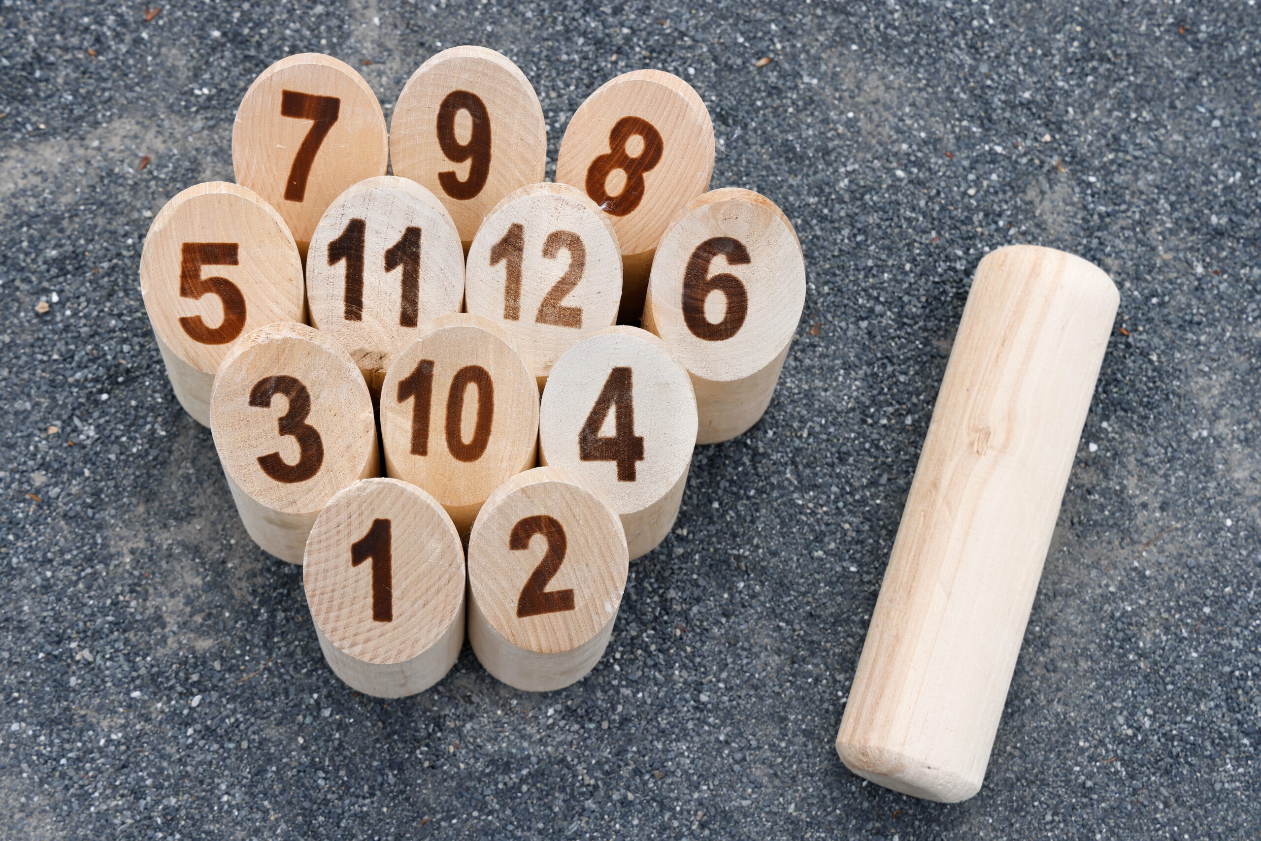 モルックを体験。子供向けに学童保育（放課後児童クラブ）公民館・高齢者向けに出前授業を開催。岡山県津山市