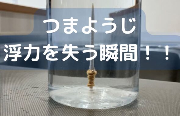 つまようじが浮力を失う瞬間！重力によって真っすぐに沈む。子ども向けの水の実験。学童保育など夏休みの出前授業