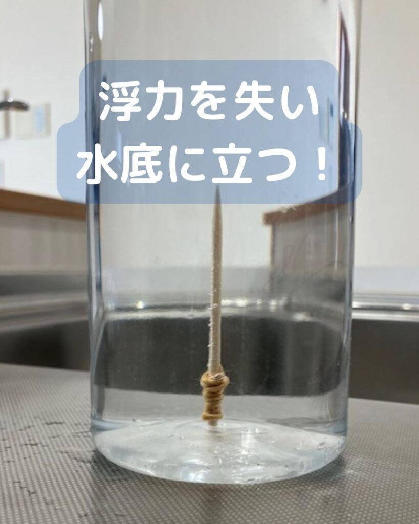 つまようじが浮力を失う瞬間！重力によって真っすぐに沈む。子ども向けの水の実験。学童保育など夏休みの出前授業