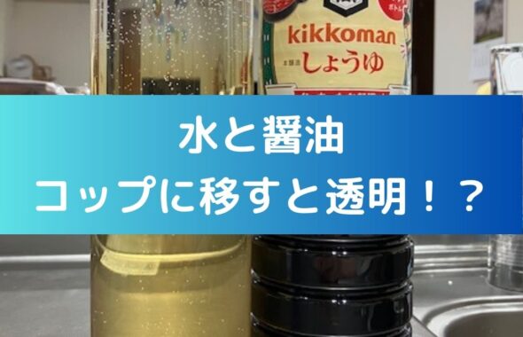 水に醤油を溶かす実験。学童保育（放課後児童クラブ）や子供会・公民館講座で出前授業も開催。