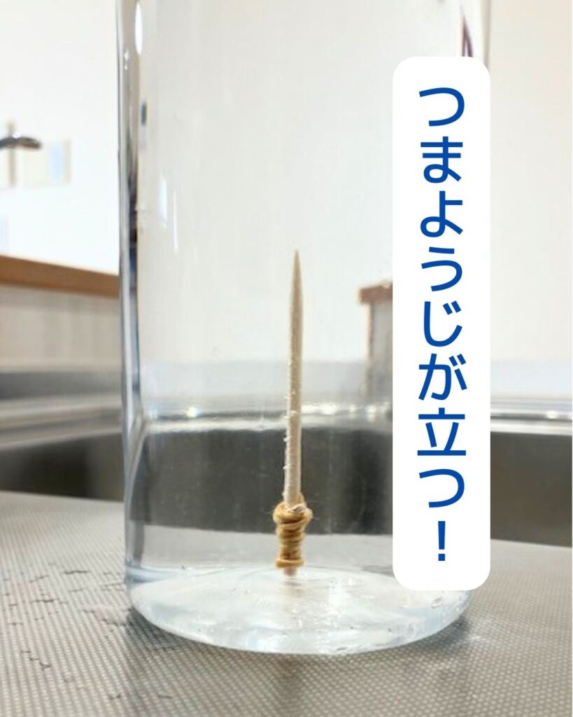 水の中でつまようじが立つ。岡山県内の学童保育（放課後児童クラブ）を中心に出前授業を行っています。