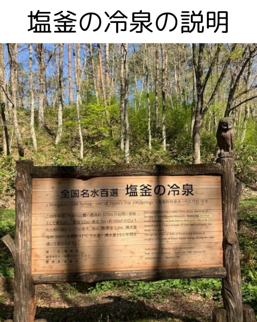名水百選。塩釜冷泉。岡山県真庭市蒜山。冷たくて気持ちいい。感想。避暑地。観光地。