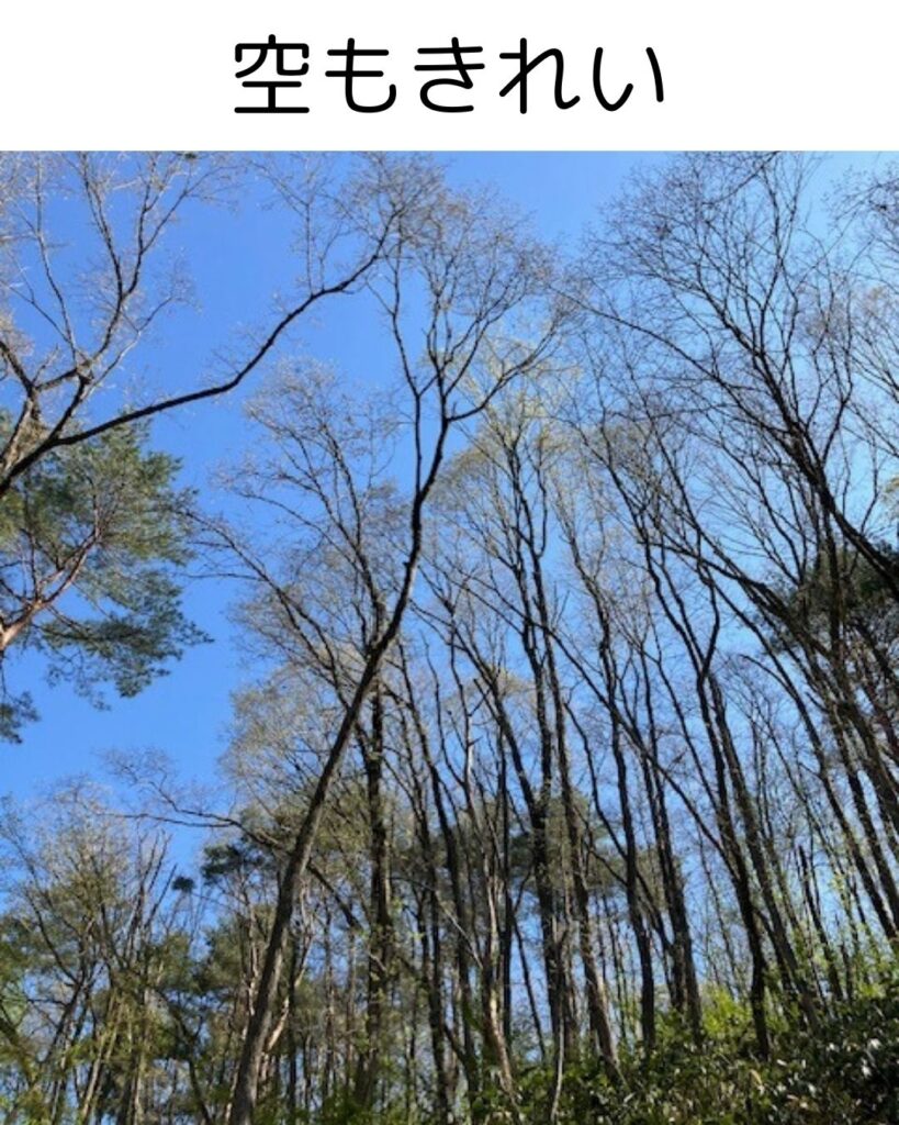 名水百選。塩釜冷泉。岡山県真庭市蒜山。冷たくて気持ちいい。感想。避暑地。観光地。