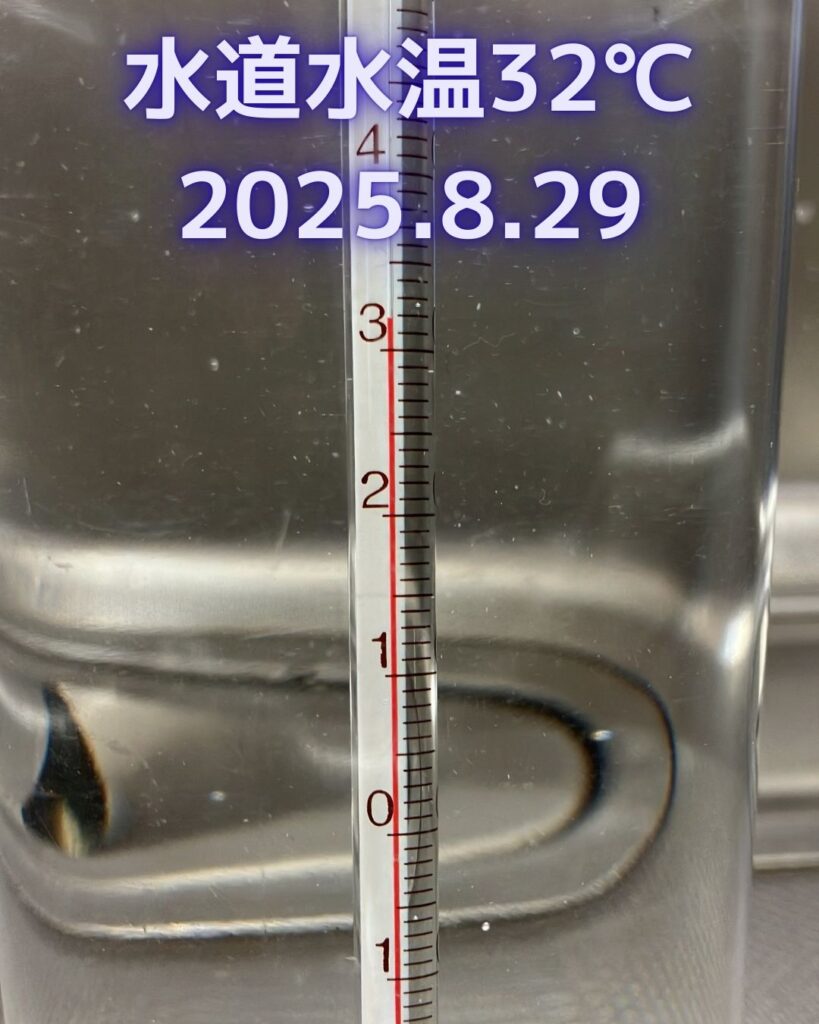 水温５０℃超！真夏の水道水の水温を測定。水の実験。小学生など子どもの自由研究の参考。水温測定。ホースの水は更に高温。