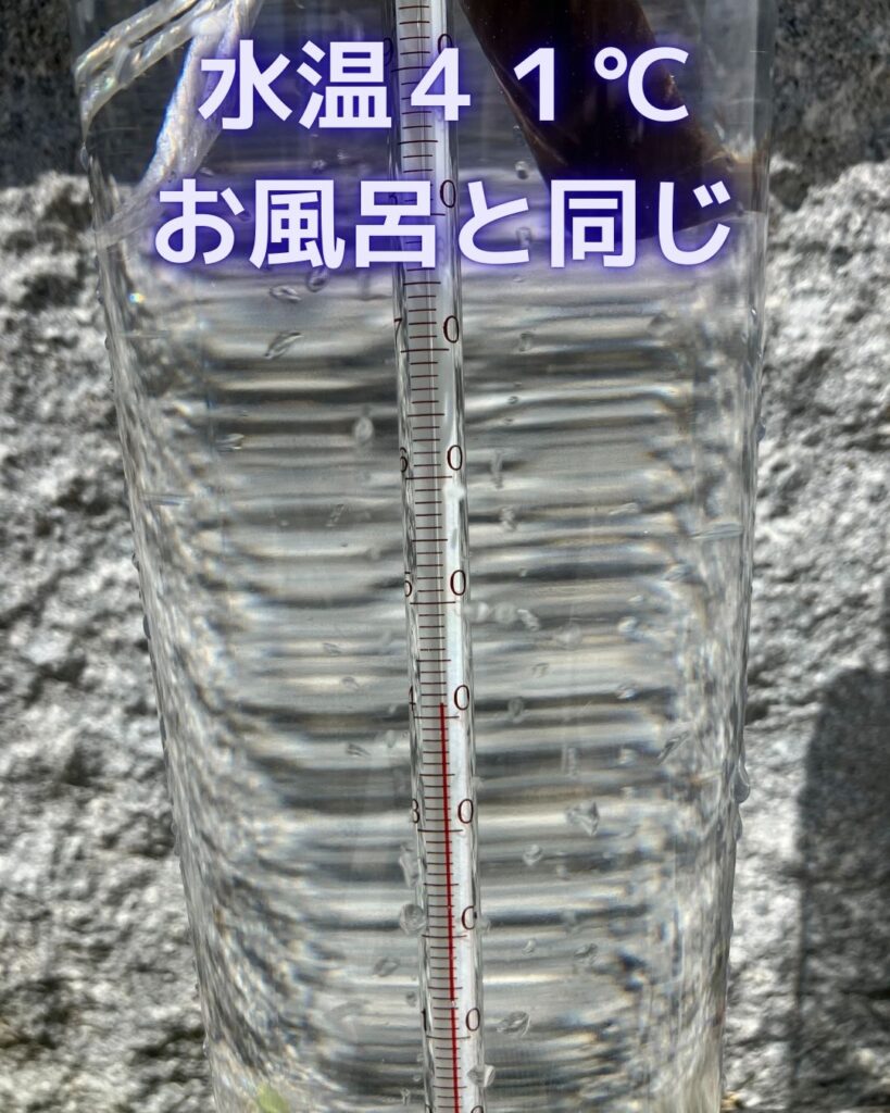 水温５０℃超！真夏の水道水の水温を測定。水の実験。小学生など子どもの自由研究の参考。水温測定。ホースの水は更に高温。